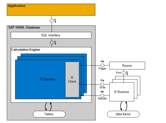 communication process between SAP HANA and R